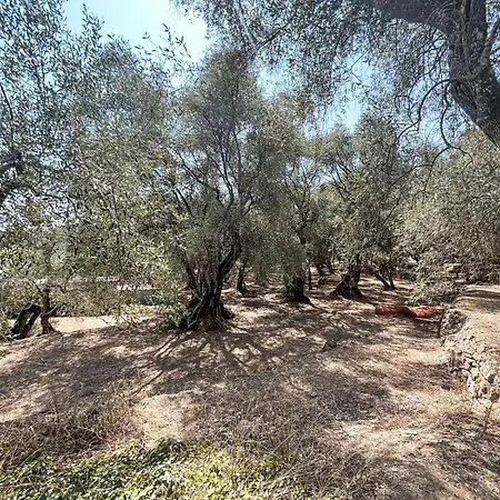 Casa Simona - Dol134 By Interhome بيت للعطل *