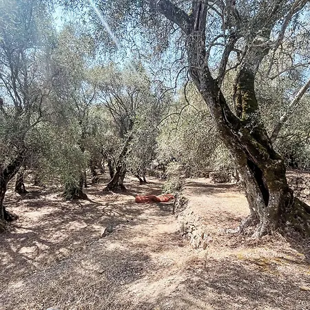 Casa Simona - Dol134 By Interhome * Costa Carnara