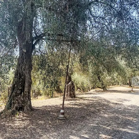 Casa Simona - Dol134 By Interhome Costa Carnara