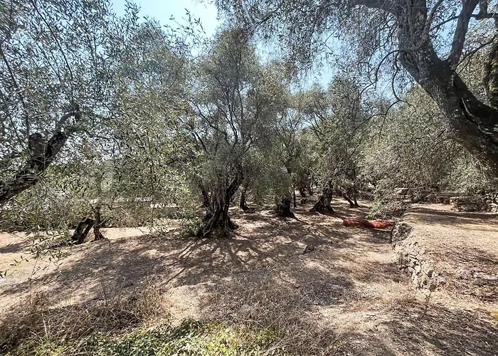 Casa Simona - Dol134 By Interhome Semesterbostad *