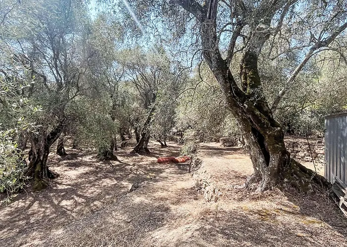 Casa Simona - Dol134 By Interhome * Costa Carnara