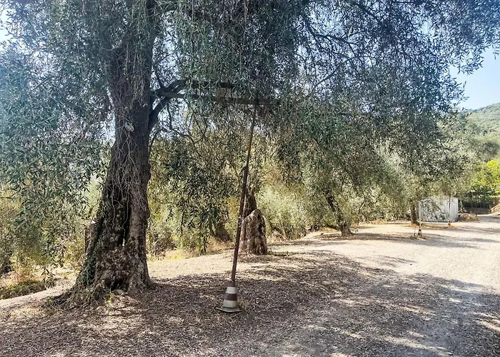 Casa Simona - Dol134 By Interhome Costa Carnara